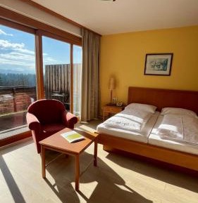Double Room with Terrace