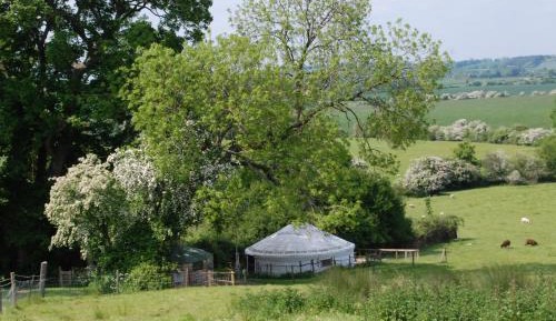 Family Room with Garden View