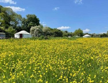 Family Room with Garden View