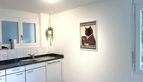 One-Bedroom Apartment with Lake View