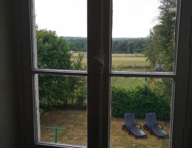 King Room with Garden View