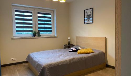Deluxe Double Room with Shower