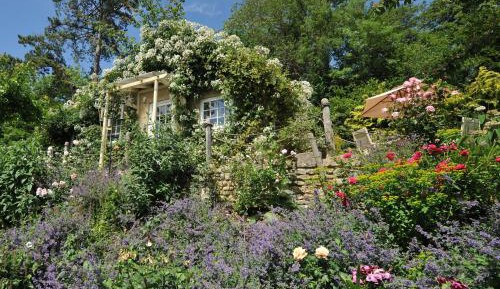 Luxury One-Bedroom Cottage 