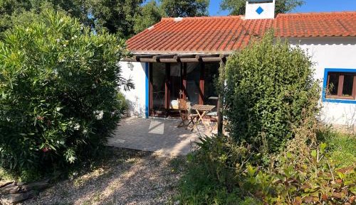 One-Bedroom Apartment with Garden View