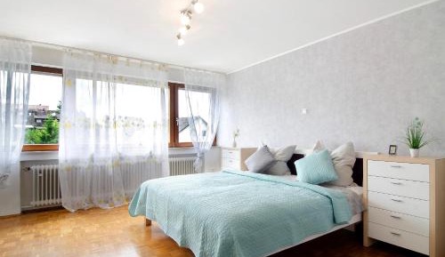 Superior One-Bedroom Apartment with Balcony