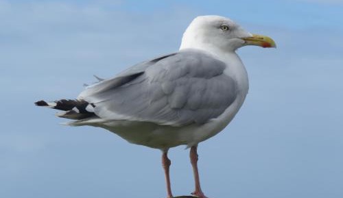 Double Room with View