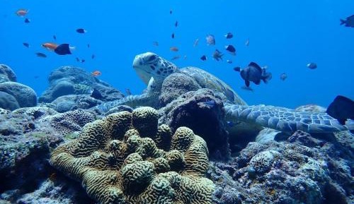 Superior Family Room