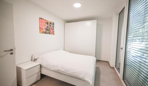 Superior One-Bedroom Apartment