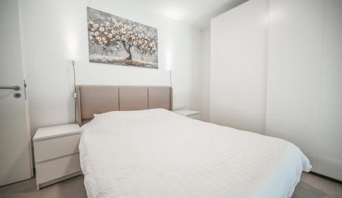 Deluxe One-Bedroom Apartment