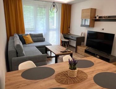 One-Bedroom Apartment with Balcony