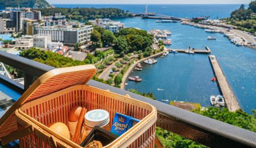 Deluxe Double Balcony Room with Sea View