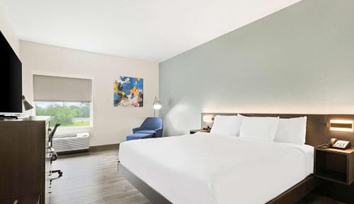 King Room