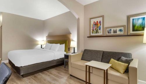 One Room Suite with Sofa bed - Non Smoking