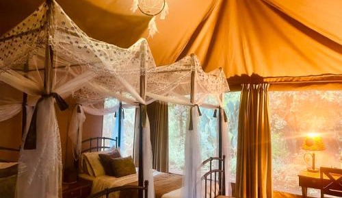 Tent with Twin Beds