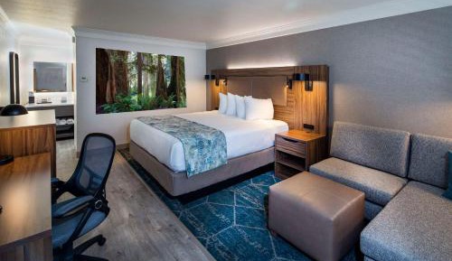 Deluxe King Room - Non-Smoking