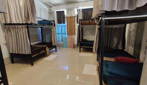 Bunk Bed in Mixed Dormitory Room