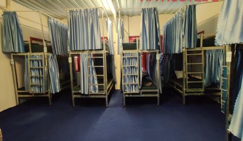Bunk Bed in Mixed Dormitory Room