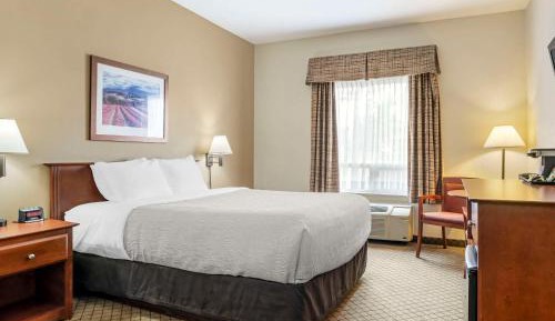 Queen Room - Disability Access/Non-Smoking