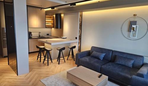 One-Bedroom Deluxe Apartment