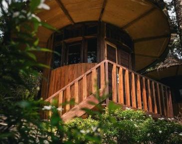 Double Room with Garden View