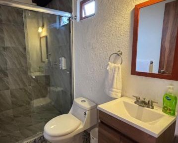 Standard Suite