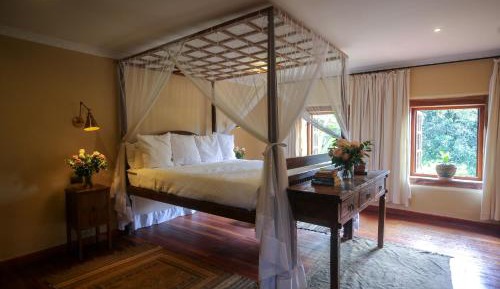 King Room with Garden View