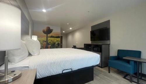 King Room - Disability Access/Non Smoking/Interior Hall