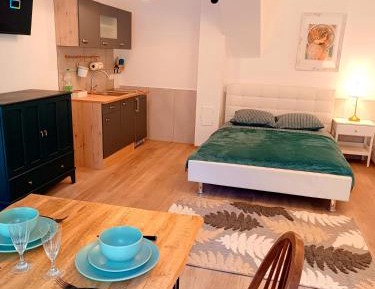One-Bedroom Premier Apartment