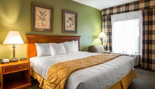 King Room - Non-Smoking