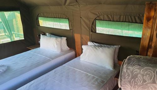 Tent