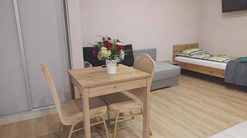 Studio with Sofa Bed