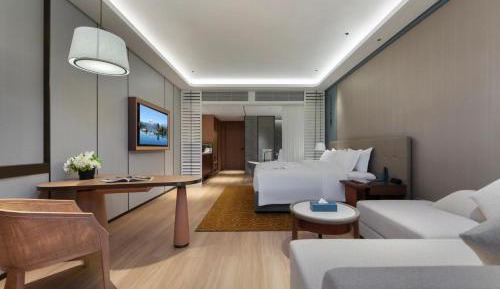 1 King Executive Room  (South building)