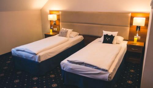 Standard Double or Twin Room