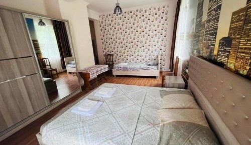 Triple Room with Mountain View