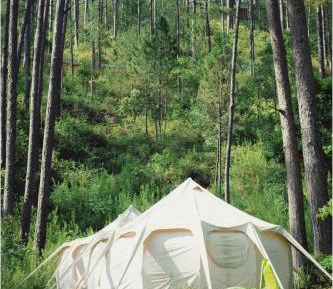 Tent