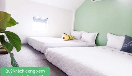 Economy Quadruple Room