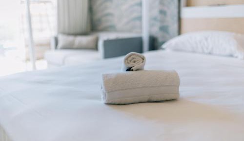Deluxe Double or Twin Room with City View