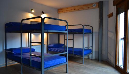 Bunk Bed in Mixed Dormitory Room