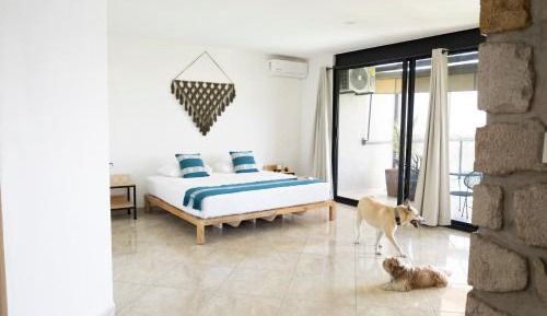 King Room with Lake View