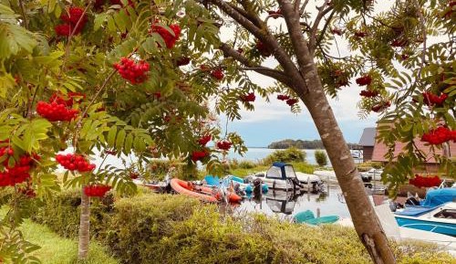 Two-Bedroom Superior Apartment