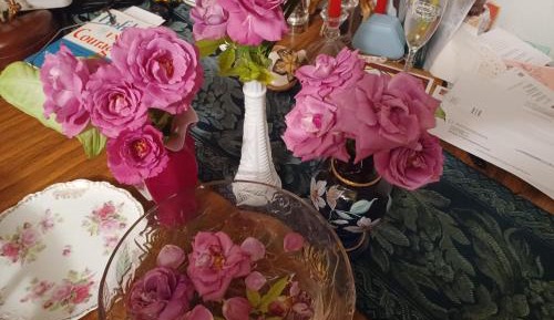 Single Room - Disability Access