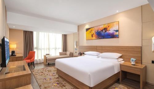 Superior Queen Room