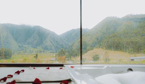Double Room with Mountain View