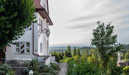 Superior One-Bedroom Apartment with Balcony