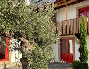 Double or Twin Room - Disability Access
