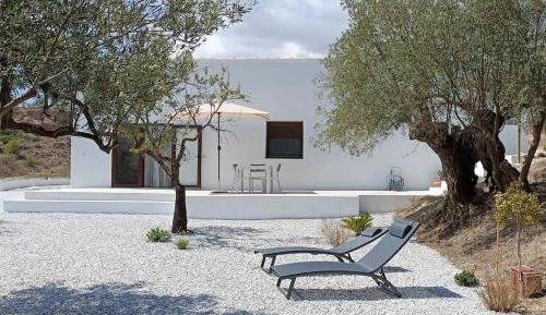 Deluxe One-Bedroom Apartment