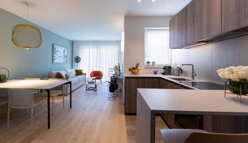 Executive One-Bedroom Apartment with Balcony