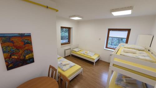 Bed in 4-Bed Mixed Dormitory Room