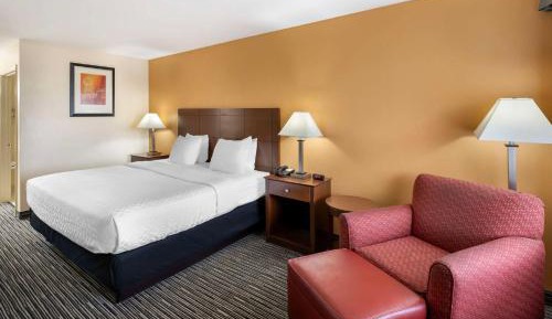 King Room