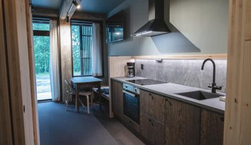 One-Bedroom Premier Apartment